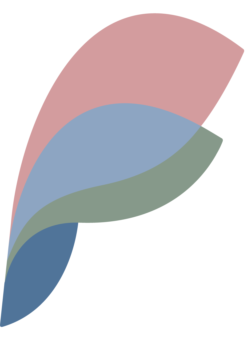 Abstract multicolored leaf-like shapes overlapping on a black background.