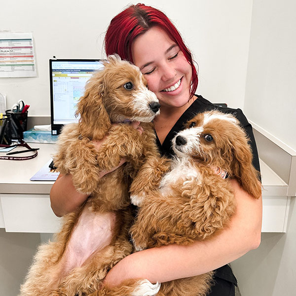 A cheerful woman with red hair holding two adorable, fluffy puppies in a veterinary clinic, smiling as she looks at one of the puppies.