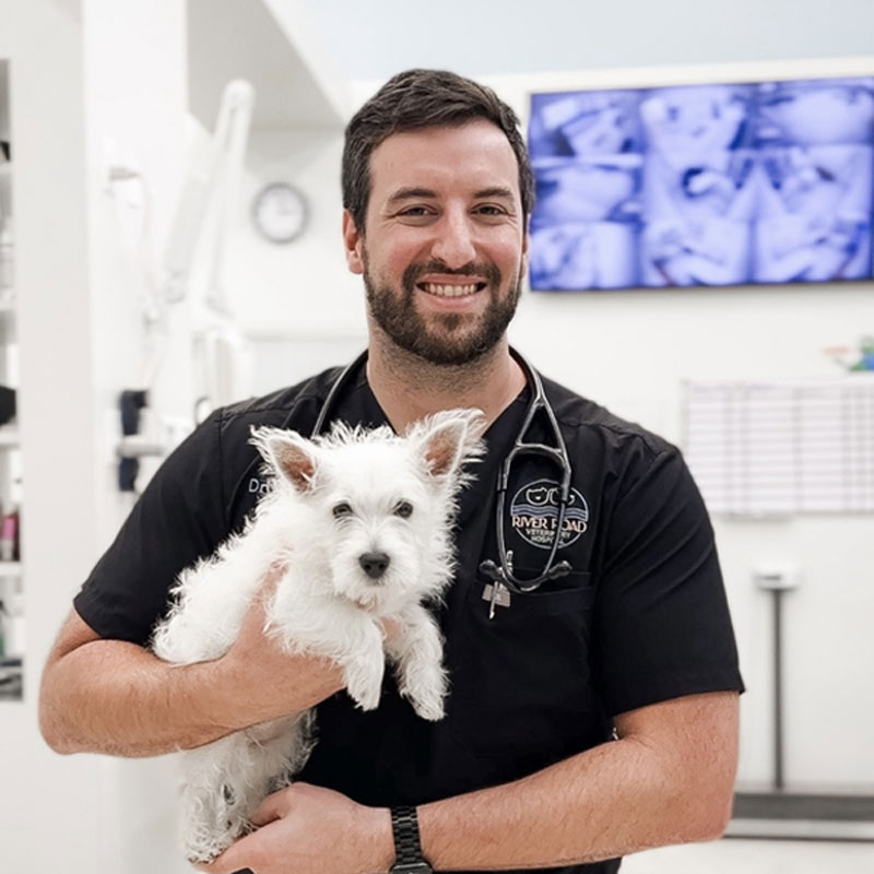 A smiling male veterinarian in black scrubs, holding a small white terrier dog in a bright, modern veterinary clinic.