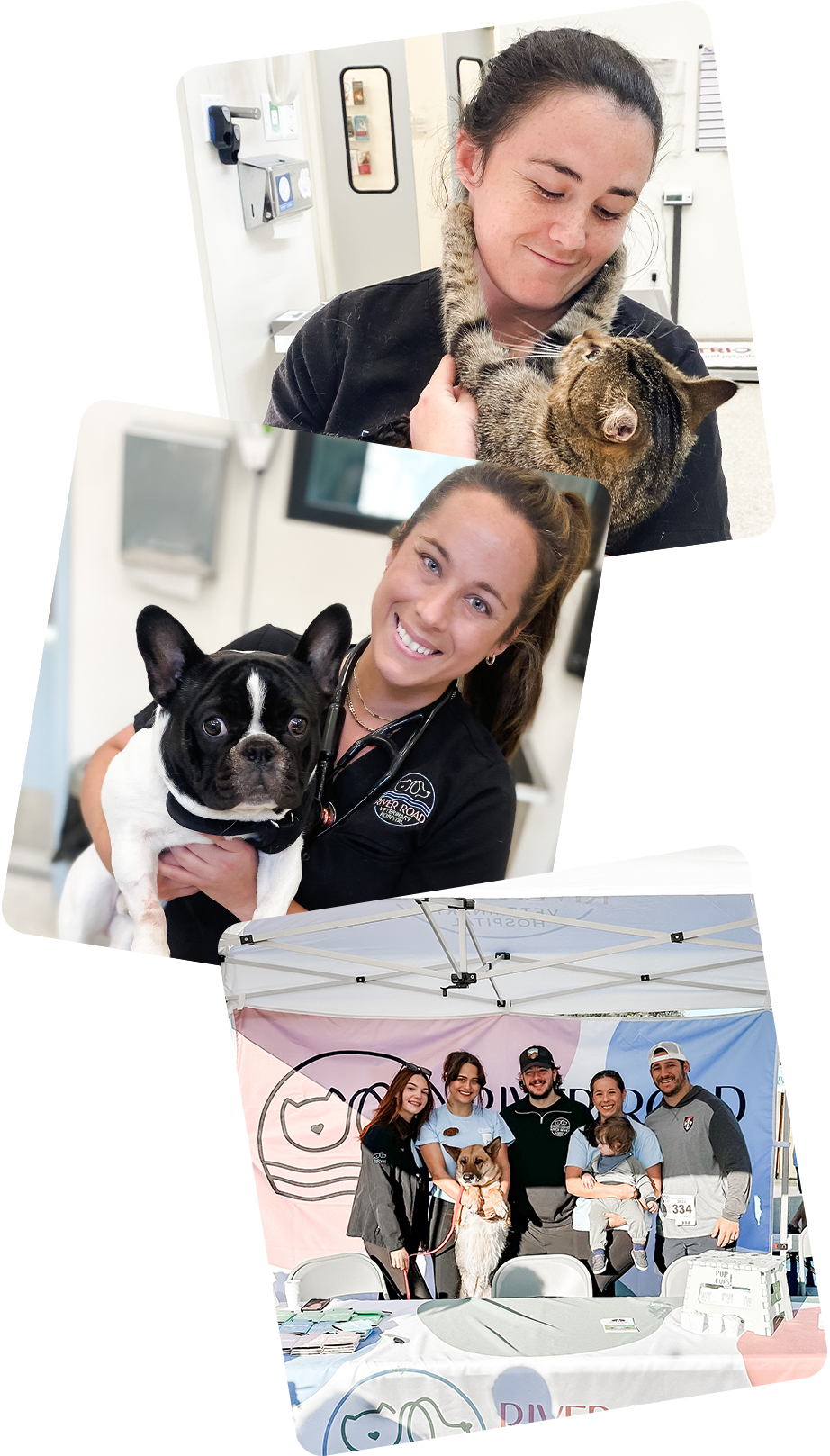 Three pictures. One of a woman holding a cat, one of a woman holding a dog, and one of five people in a booth, one of them holding a dog and one of them holding a baby