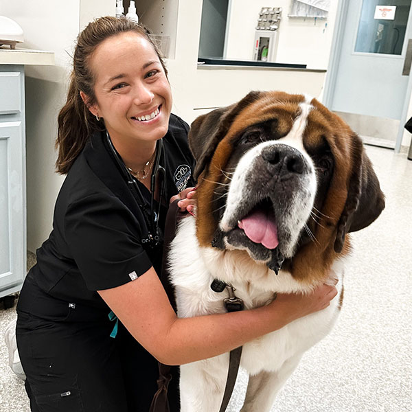 A woman in a black veterinary uniform happily hugs a large Saint Bernard dog in a clinic. The dog is panting with its tongue out. The room has white walls and a counter with cabinets.