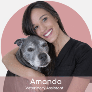 A smiling woman in black scrubs hugs a gray dog in front of a pink background. The text below reads "Amanda, Veterinary Assistant.