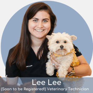 A woman with long brown hair in black scrubs smiles at the camera while holding a small, fluffy white dog wearing a yellow outfit. Text below reads: “Lee Lee (Soon to be Registered!) Veterinary Technician.”.