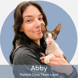A woman with long brown hair smiles while holding a curly-coated cat with big green eyes. The text reads: "Abby, Patient Care Team Lead." A blue circle is in the background.