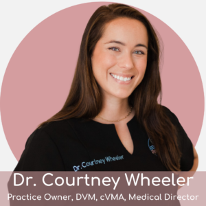 Smiling woman with long brown hair wearing a black medical uniform, standing in front of a pink circle background. Text at the bottom reads: "Dr. Courtney Wheeler, Practice Owner, DVM, cVMA, Medical Director.
