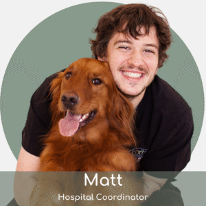 A smiling man with tousled brown hair hugs a happy golden retriever. A green circle is in the background. Text overlay at the bottom reads: "Matt, Hospital Coordinator.