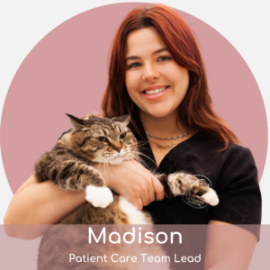 A woman with long, reddish-brown hair wearing black scrubs smiles while holding a large tabby cat. The text overlay reads: "Madison, Patient Care Team Lead.