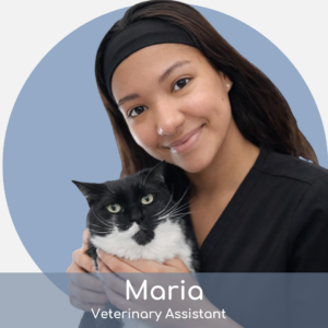 A smiling woman in black scrubs holds a black and white cat. The background is a blue circle, and a label at the bottom reads, "Maria, Veterinary Assistant.