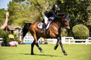 A rider in equestrian gear competes in a show jumping event, leaning forward on a bay horse galloping across a grassy arena with jumps, greenery, and a giraffe statue in the background.