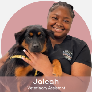 Jaleah A smiling veterinary assistant named Jaleah, wearing scrubs, holds a black and brown dog. The background features a soft pink semicircle and a text overlay with her name and title.