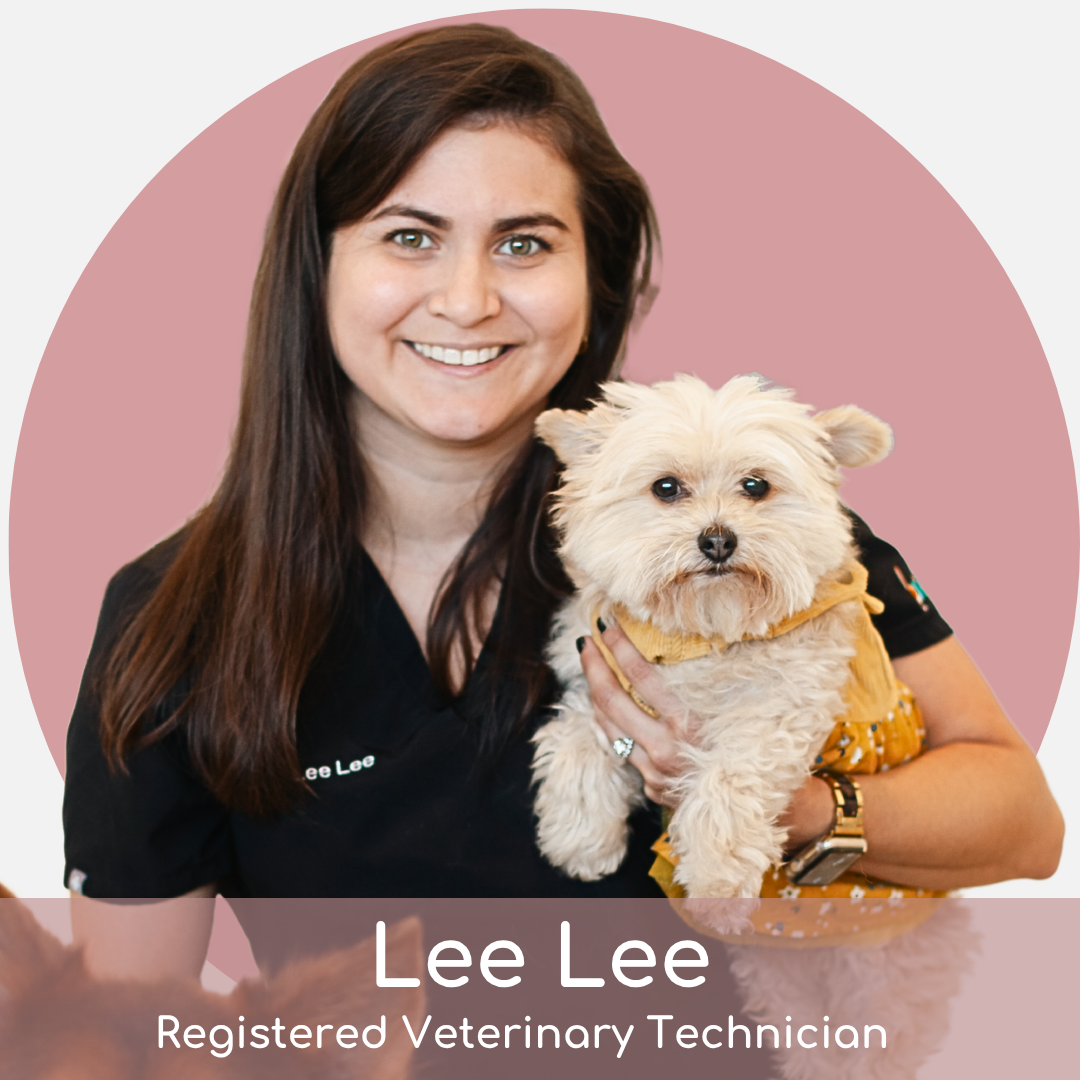 Lee Lee (2) Smiling woman with long brown hair in black scrubs holds a small, fluffy dog wearing a yellow outfit. Text at the bottom reads: “Lee Lee, Registered Veterinary Technician.” Pink circular background behind them.