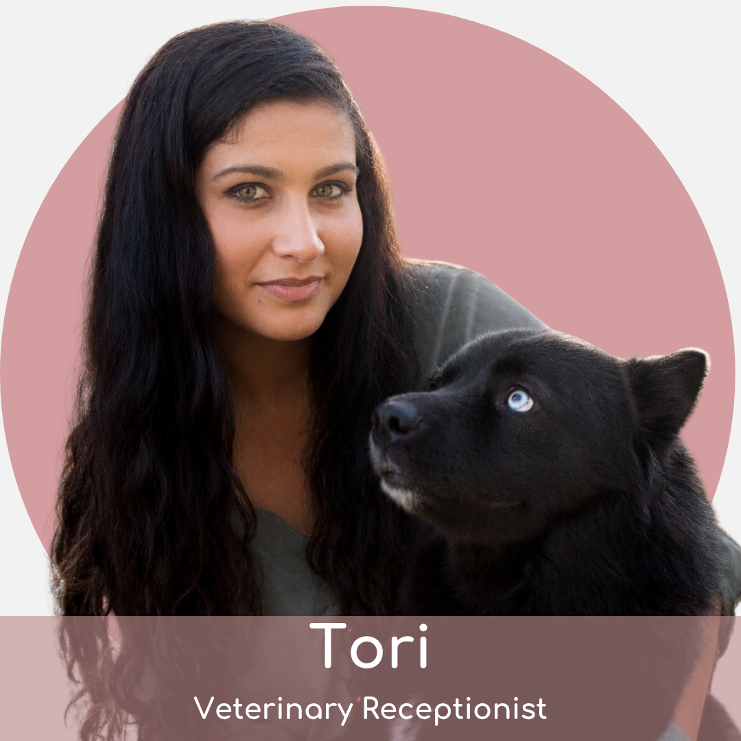 tj (3) Woman with long dark hair sits beside a black dog with blue eyes, both looking forward. Text at the bottom reads “Tori, Veterinary Receptionist” on a pink circular background.